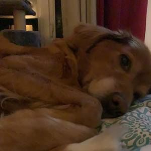 Meet your Posher, Lyne